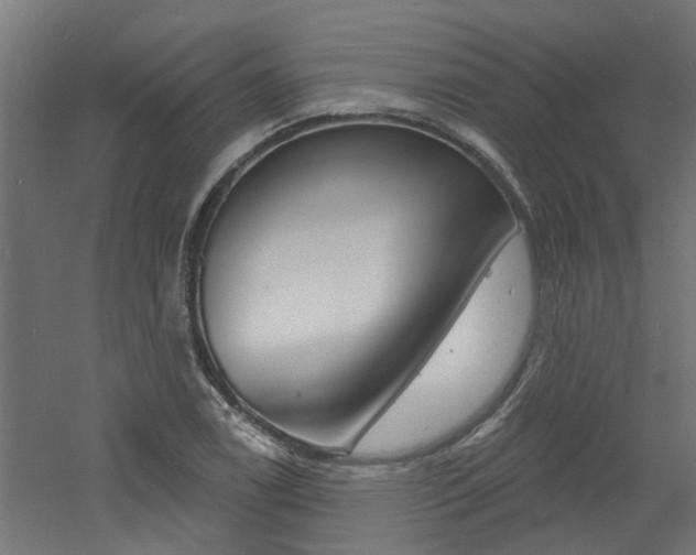 X0000060741122200511100904
