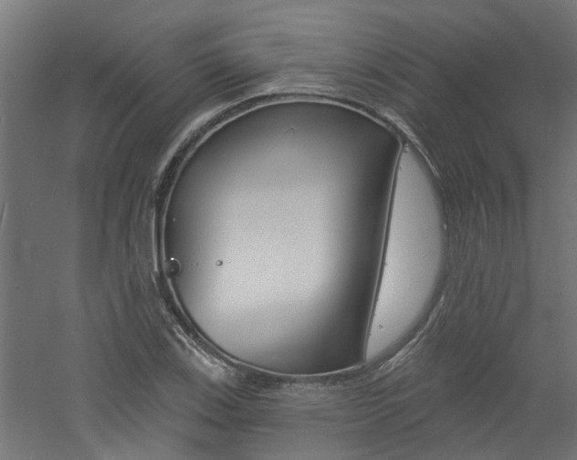 X0000060741123200511100904