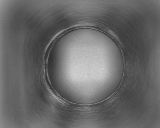 X0000060741124200511100904