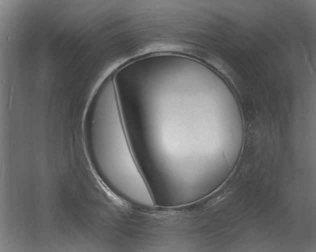 X0000060741127200511100904