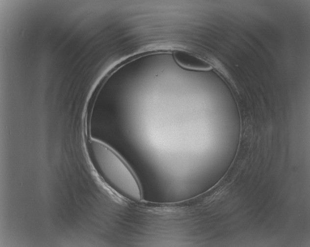 X0000060741132200511100904