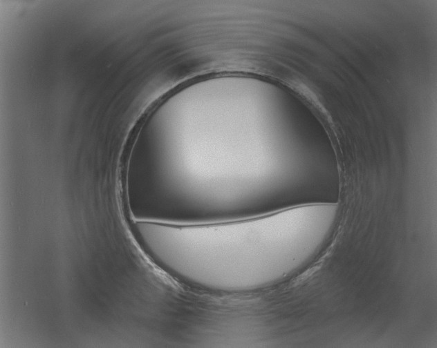 X0000060741133200511100904