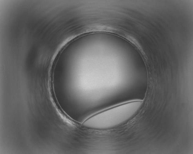 X0000060741136200511100905