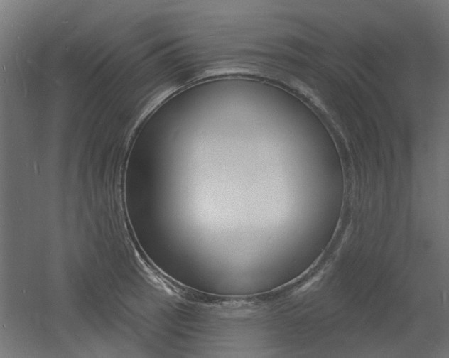 X0000060741137200511100905