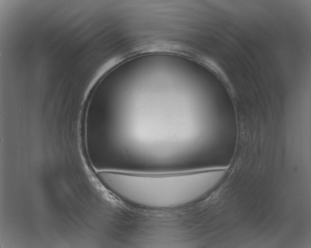 X0000060741138200511100905
