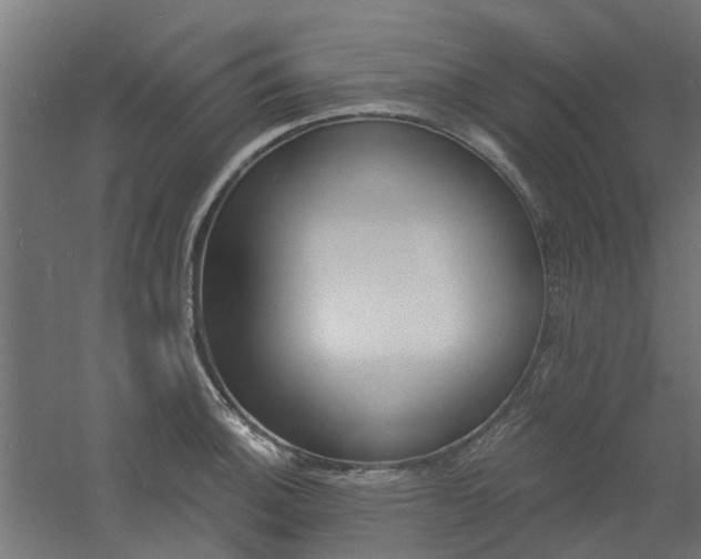 X0000060741140200511100905