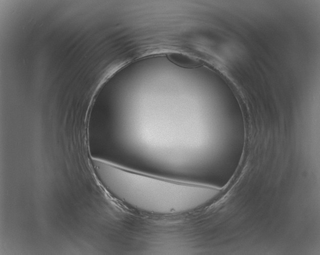 X0000060741145200511100905