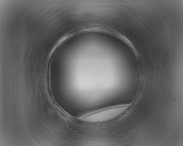 X0000060741146200511100905