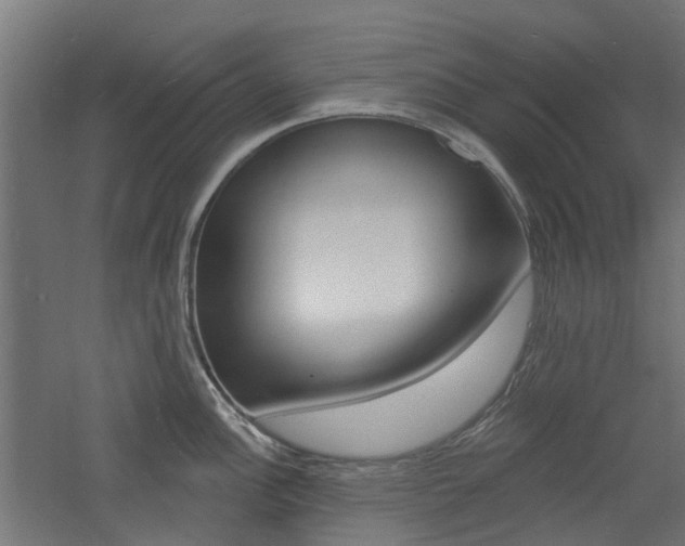 X0000060741148200511100905
