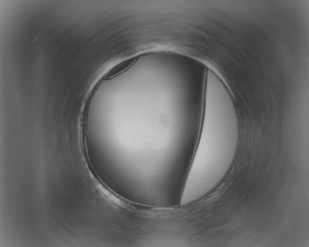 X0000060741151200511100905