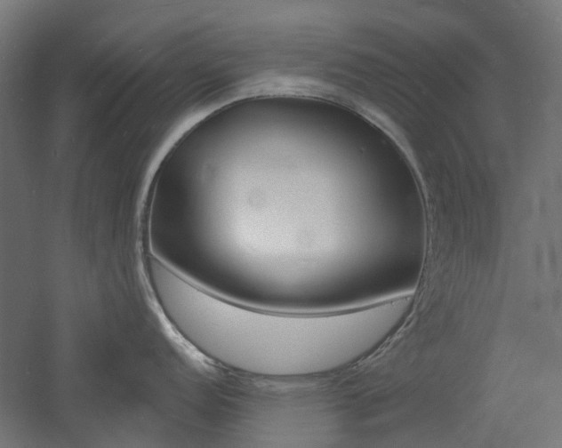 X0000060741152200511100905