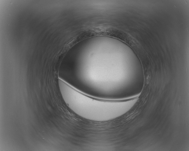 X0000060741156200511100904