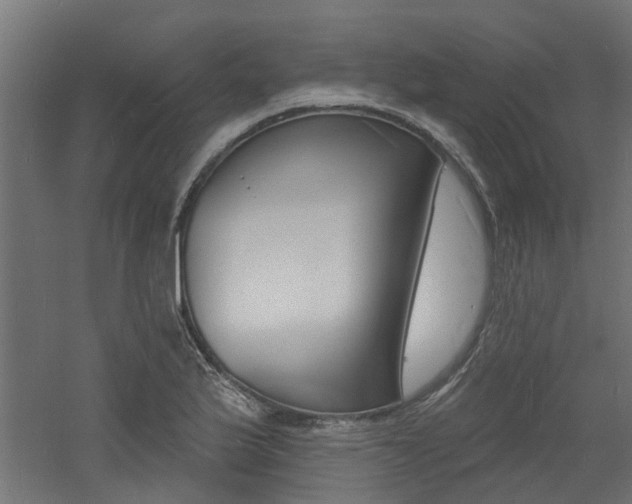 X0000060741175200511100904