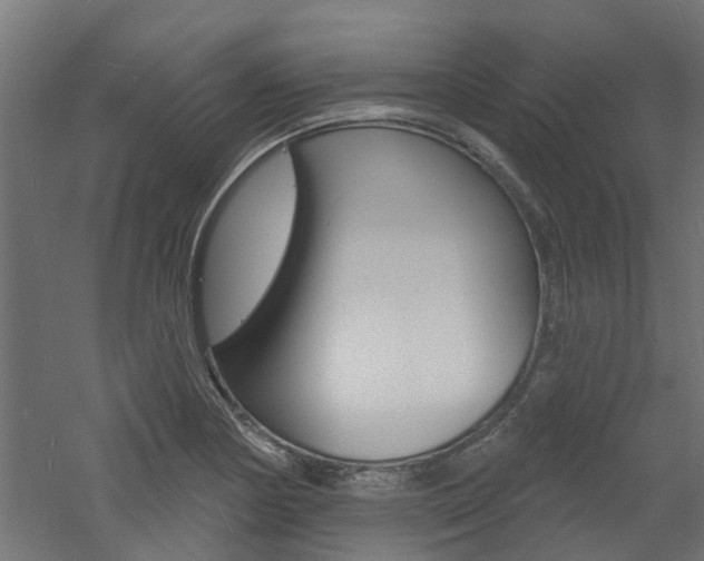 X0000060741178200511100904