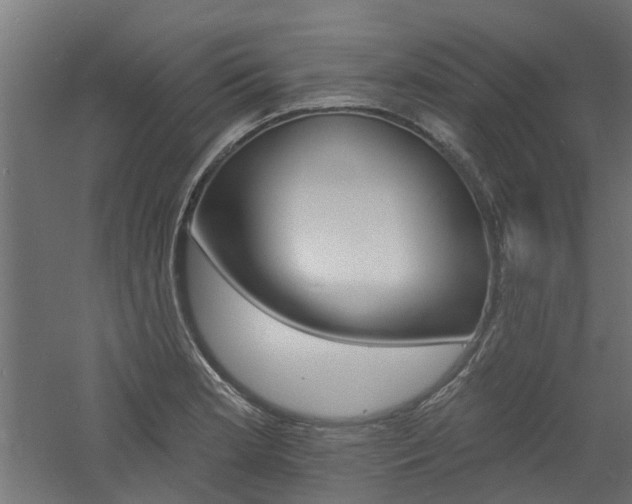 X0000060741181200511100903