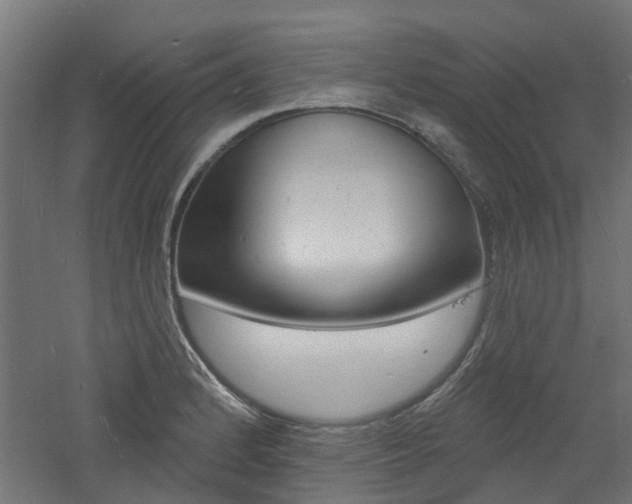 X0000060741184200511100903