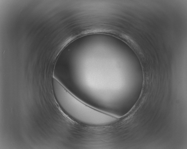 X0000060741185200511100903