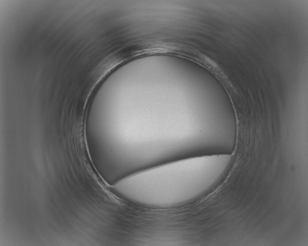 X0000060741186200511100903