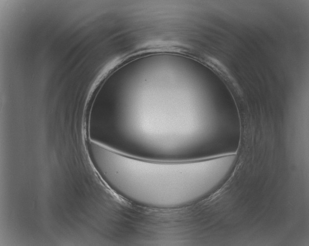 X0000060741188200511100903