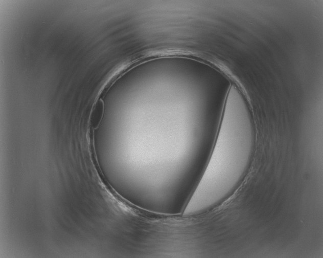 X0000060741189200511100903