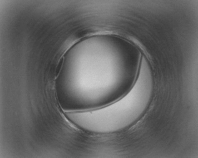 X0000060741193200511100903