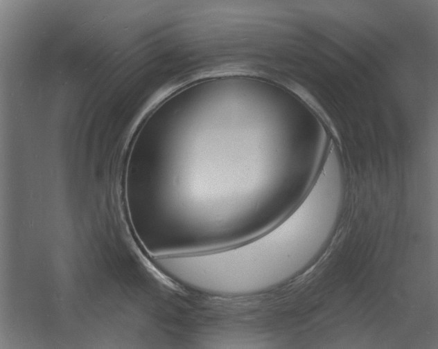 X0000060741197200511100903