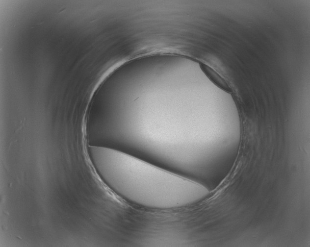 X0000060741198200511100903