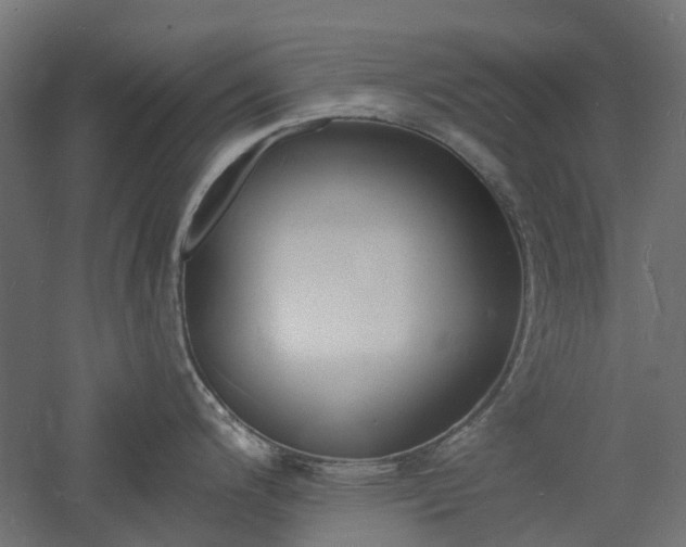 X0000060741200200511100903