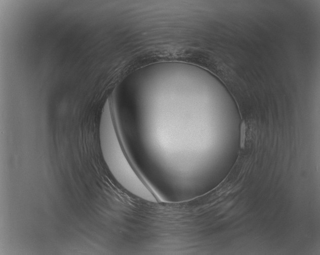 X0000060741202200511100902