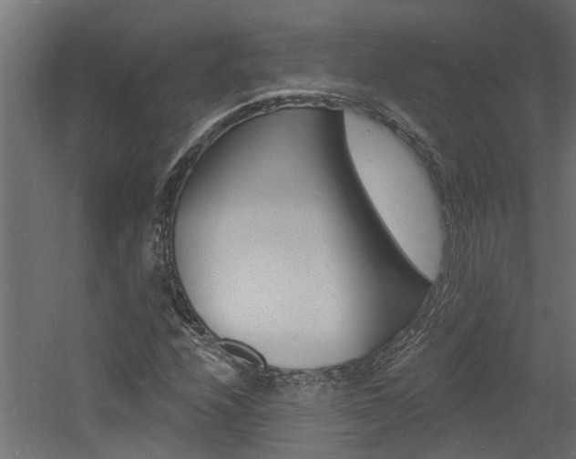 X0000060741208200511100902