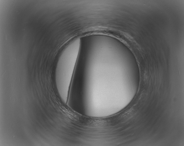 X0000060741209200511100902