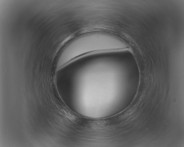 X0000060741210200511100903
