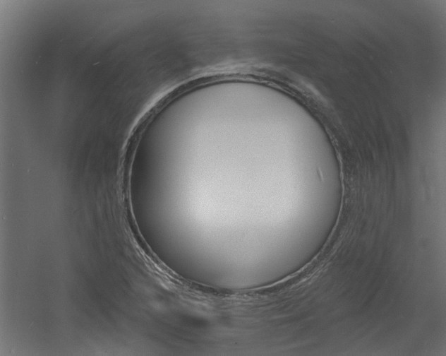 X0000060741216200511100903