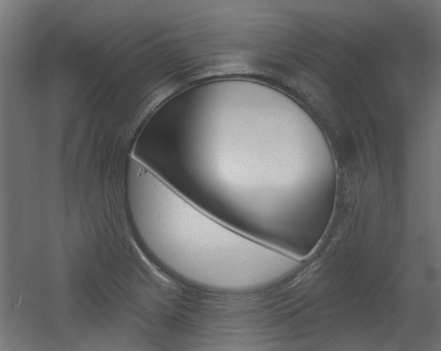 X0000060741225200511100903