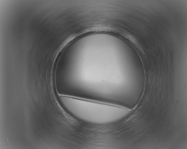 X0000060741229200511100903