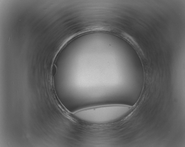 X0000060741236200511100903
