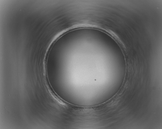 X0000060741238200511100903
