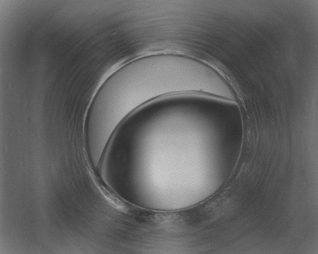 X0000060741242200511100903