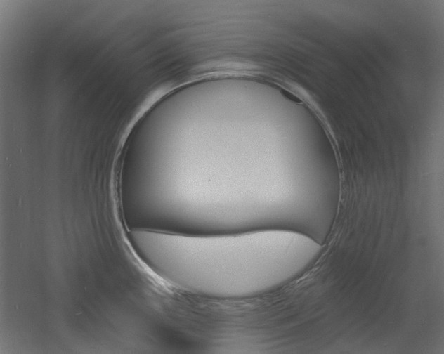 X0000060741243200511100903