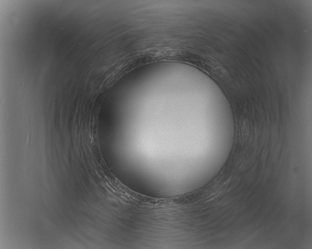 X0000060741250200511100902