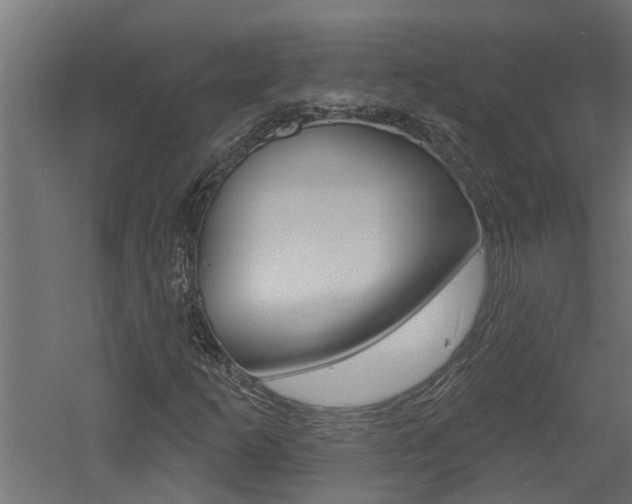 X0000060741253200511100902