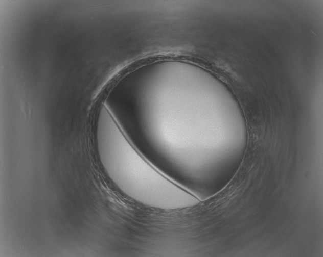 X0000060741256200511100902