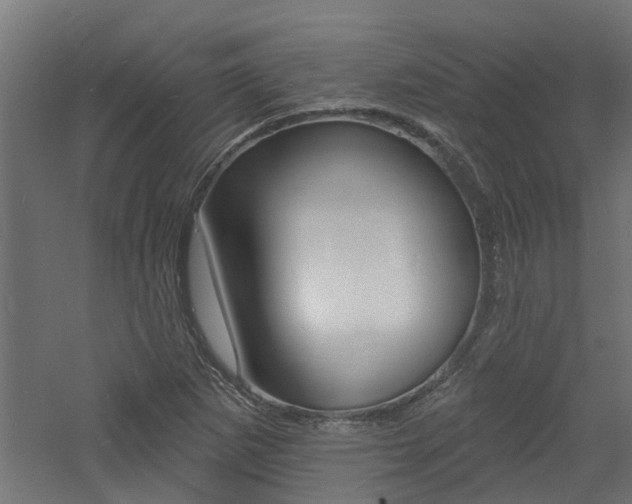 X0000060741265200511100902