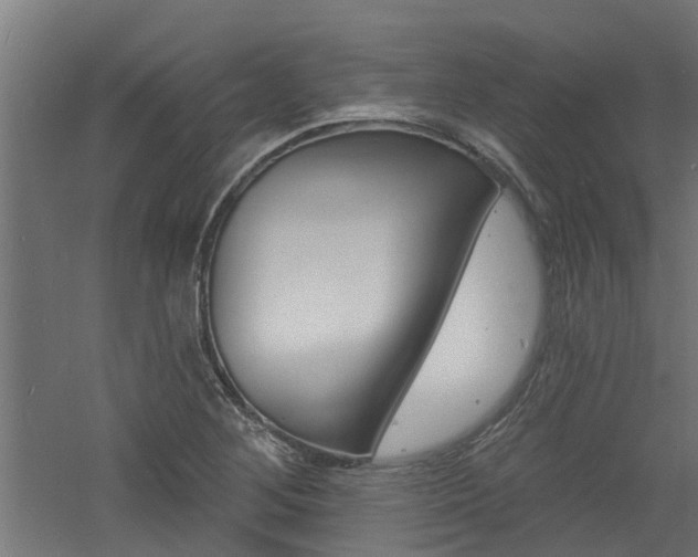 X0000060741268200511100902