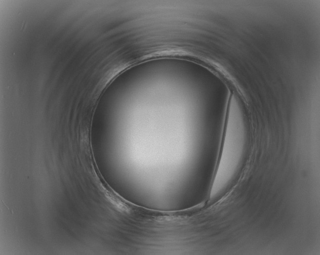 X0000060741281200511100902