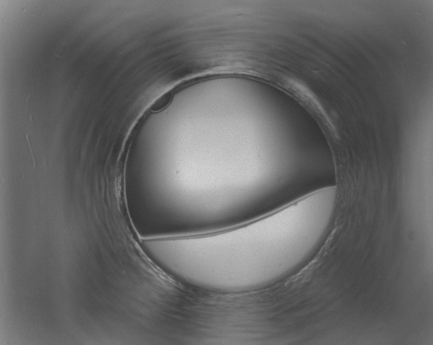 X0000060741284200511100902