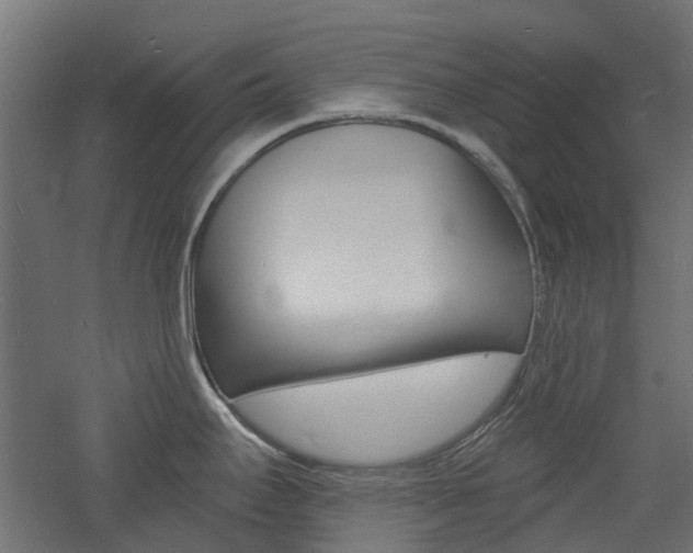 X0000060741295200511100902