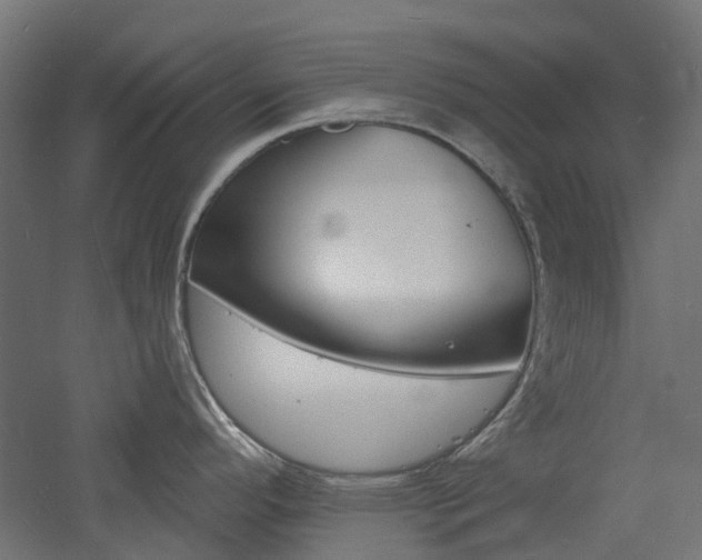 X0000060741296200511100902