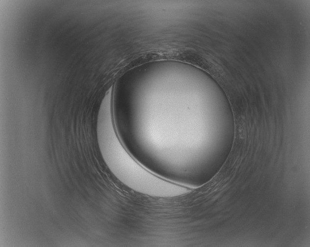 X0000060741298200511100901
