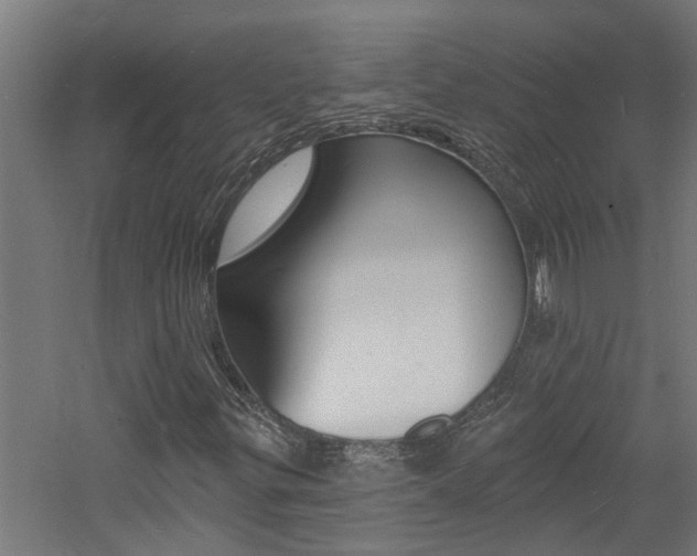 X0000060741299200511100901